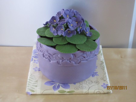 Fialky v květináči